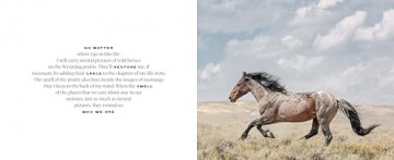 The Wild Horse Effect: Awe, Well-Being, and the Transformative Power of Nature - Chad Hanson [KSIĄŻKA]