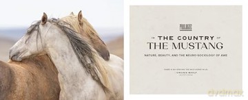 The Wild Horse Effect: Awe, Well-Being, and the Transformative Power of Nature - Chad Hanson [KSIĄŻKA]