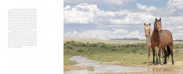 The Wild Horse Effect: Awe, Well-Being, and the Transformative Power of Nature - Chad Hanson [KSIĄŻKA]