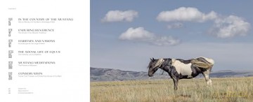 The Wild Horse Effect: Awe, Well-Being, and the Transformative Power of Nature - Chad Hanson [KSIĄŻKA]