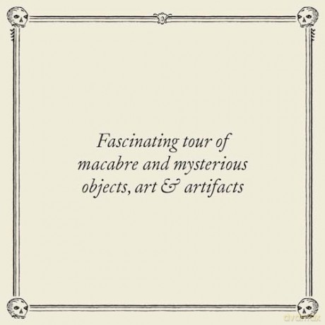 The Witch's Door: Oddities and Tales from the Esoteric to the Extreme - Ryan Matthew Cohn [KSIĄŻKA]