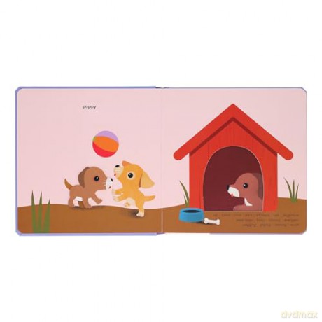 TouchThinkLearn: Pets - Xavier Deneux [KSIĄŻKA]
