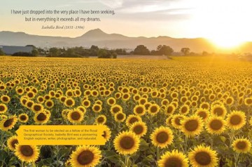 The Stride of Women: Mantras and quotes to empower and inspire your walk through life - CICO Books [KSIĄŻKA]