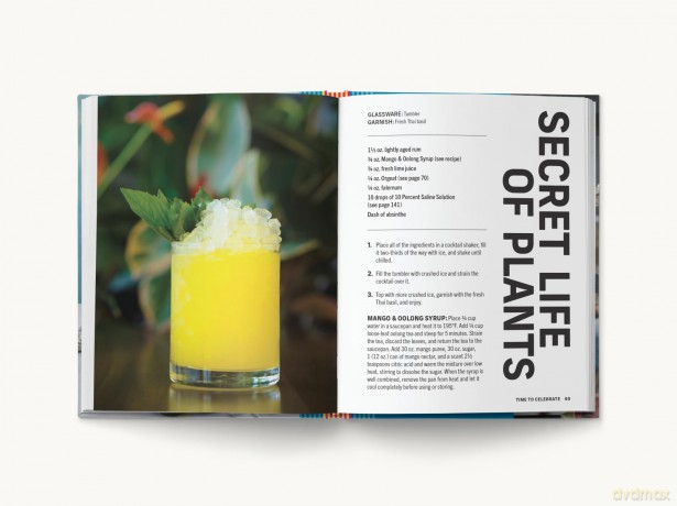 Brunch Cocktails: The Art of Boozy Brunches and Daytime Drinking - Cider Mill Press [KSIĄŻKA]
