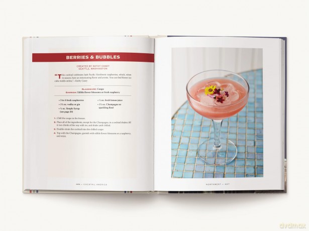 Cocktail America: Over 200 Cocktails from America's Greatest Cities - Cider Mill Press [KSIĄŻKA]