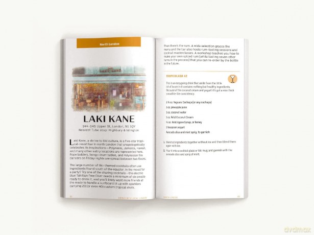 Drink Like a Local London: A Field Guide to London's Best Bars - Felipe Schrieberg [KSIĄŻKA]