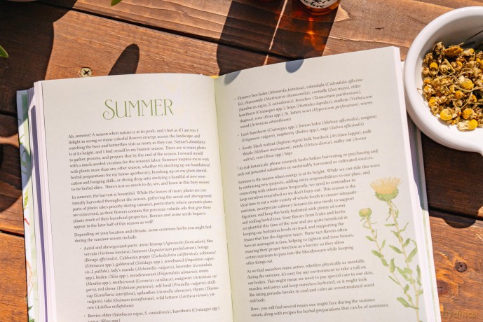Nature's Medicine Cabinet: Seasonal Recipes and Remedies for a Year of Botanical Wellness - Meagan Visser [KSIĄŻKA]