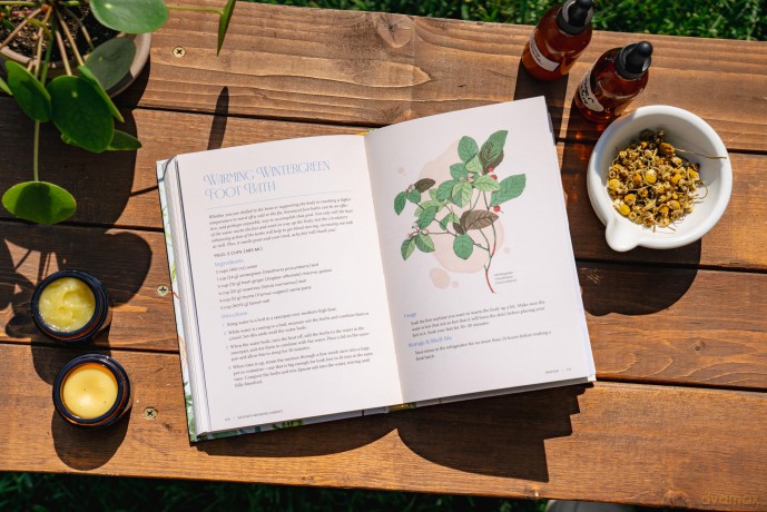 Nature's Medicine Cabinet: Seasonal Recipes and Remedies for a Year of Botanical Wellness - Meagan Visser [KSIĄŻKA]
