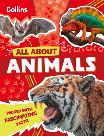 Animals: Discover fascinating facts about wildlife (All About) - Collins Kids [KSIĄŻKA]