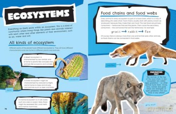 Animals: Discover fascinating facts about wildlife (All About) - Collins Kids [KSIĄŻKA]