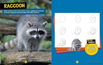 How to Draw Cute Animals: A step-by-step learn to draw book for kids aged 6+ (National Geographic Kids) - National Geographic Kids [KSIĄŻKA]