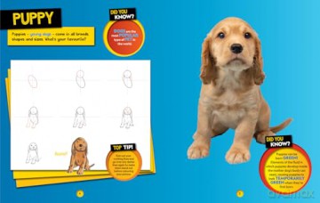 How to Draw Cute Animals: A step-by-step learn to draw book for kids aged 6+ (National Geographic Kids) - National Geographic Kids [KSIĄŻKA]