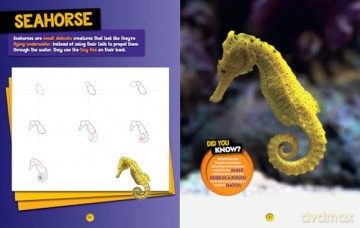 How to Draw Ocean Animals: A step-by-step learn to draw book for kids aged 6+ (National Geographic Kids) - National Geographic Kids [KSIĄŻKA]