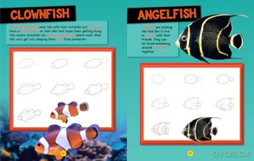 How to Draw Ocean Animals: A step-by-step learn to draw book for kids aged 6+ (National Geographic Kids) - National Geographic Kids [KSIĄŻKA]