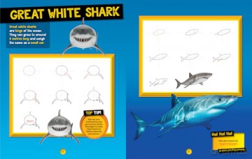 How to Draw Ocean Animals: A step-by-step learn to draw book for kids aged 6+ (National Geographic Kids) - National Geographic Kids [KSIĄŻKA]