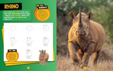 How to Draw Safari Animals: A step-by-step learn to draw book for kids aged 6+ (National Geographic Kids) - National Geographic Kids [KSIĄŻKA]