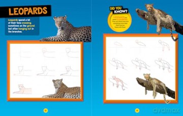 How to Draw Safari Animals: A step-by-step learn to draw book for kids aged 6+ (National Geographic Kids) - National Geographic Kids [KSIĄŻKA]