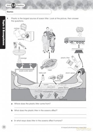 International Primary Science Progress Book Teacher Pack: Stage 6: Progress Book 6 (Teacher Pack) (Collins International Primary Science) - Tracy Wiles [KSIĄŻKA]