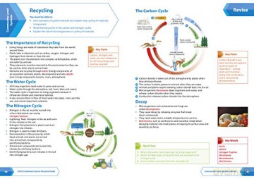 OCR Gateway GCSE 9-1 Combined Science Foundation All-in-One Complete Revision and Practice: Ideal for the 2026 and 2027 exams (Collins GCSE Grade 9-1 Revision) - Collins GCSE [KSIĄŻKA]