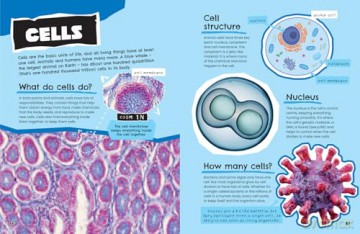 Science: Discover fascinating facts about science, technology and engineering (All About) - Collins Kids [KSIĄŻKA]