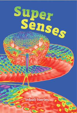 Super Senses: Fluency 5 (Big Cat for Little Wandle Fluency) - Inbali Iserles [KSIĄŻKA]