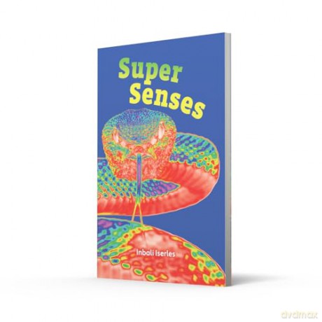 Super Senses: Fluency 5 (Big Cat for Little Wandle Fluency) - Inbali Iserles [KSIĄŻKA]