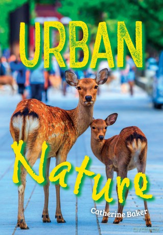 Urban Nature: Fluency 1 (Big Cat for Little Wandle Fluency) - Catherine Baker [KSIĄŻKA]