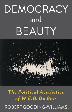 Democracy and Beauty: The Political Aesthetics of W. E. B. Du Bois (Leonard Hastings Schoff Lectures) - Robert Gooding-Williams [KSIĄŻKA]