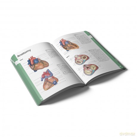 Pocket Cardiology and Vascular Medicine - Veronique Goudberg BSc [KSIĄŻKA]