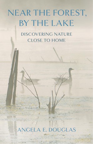 Near the Forest, By the Lake: Discovering Nature Close to Home - Angela E. Douglas [KSIĄŻKA]