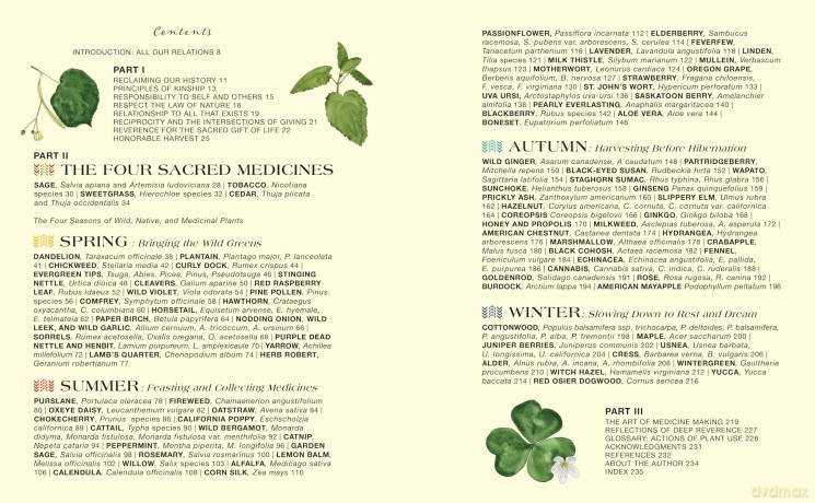 Revered Roots: Ancestral Teachings and Wisdom of Wild, Edible, and Medicinal Plants - LoriAnn Bird [KSIĄŻKA]
