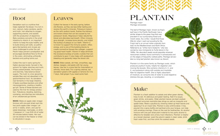 Revered Roots: Ancestral Teachings and Wisdom of Wild, Edible, and Medicinal Plants - LoriAnn Bird [KSIĄŻKA]