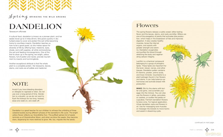 Revered Roots: Ancestral Teachings and Wisdom of Wild, Edible, and Medicinal Plants - LoriAnn Bird [KSIĄŻKA]