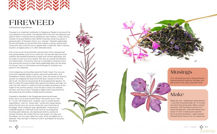 Revered Roots: Ancestral Teachings and Wisdom of Wild, Edible, and Medicinal Plants - LoriAnn Bird [KSIĄŻKA]