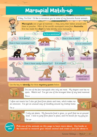 CGP Summer Holidays Activity Workbook - for kids between Year 4 and Year 5 (ages 8-9) (CGP Summer Holiday Workbooks) - CGP Books [KSIĄŻKA]