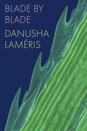 Blade by Blade - Danusha Laméris [KSIĄŻKA]