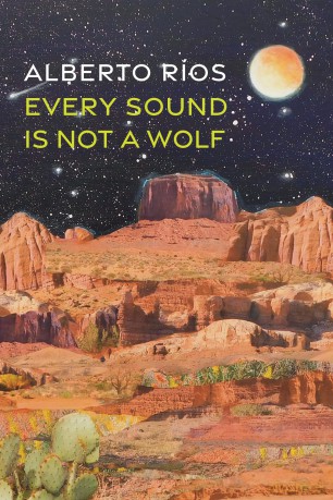 Every Sound Is Not a Wolf - Alberto Ríos [KSIĄŻKA]