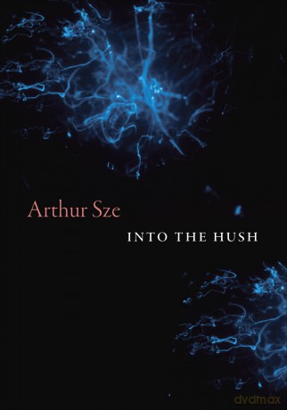 Into the Hush - Arthur Sze [KSIĄŻKA]