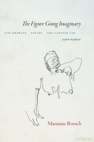 The Figure Going Imaginary: Life Drawing, Poetry, The Cadaver Lab; A Year in Pieces - Marianne Boruch [KSIĄŻKA]