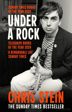 Under A Rock - Chris Stein [KSIĄŻKA]