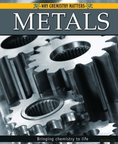 Metals (Why Chemistry Matters) - Adrienne Montgomerie [KSIĄŻKA]