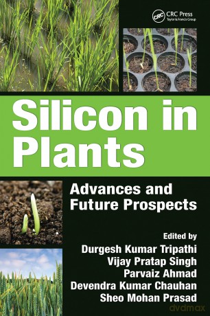 Silicon in Plants: Advances and Future Prospects - Durgesh Kumar Tripathi [KSIĄŻKA]