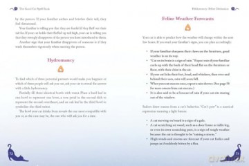 The Good Cat Spellbook - Gillian Kemp [KSIĄŻKA]