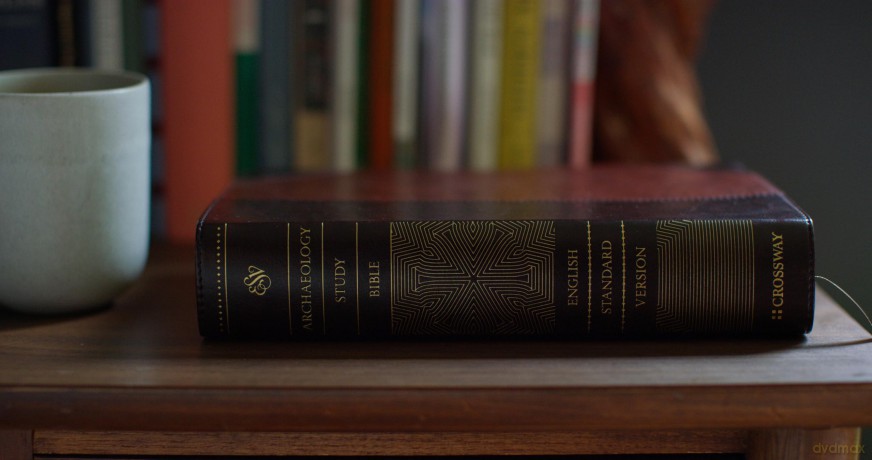 ESV Archaeology Study Bible (TruTone, Brown/Walnut, Portfolio Design): English Standard Version, Trutone, Brown/walnut, Portfolio Design, Archaeology Study Bible With Ribbon Marker - ESV [KSIĄŻKA]