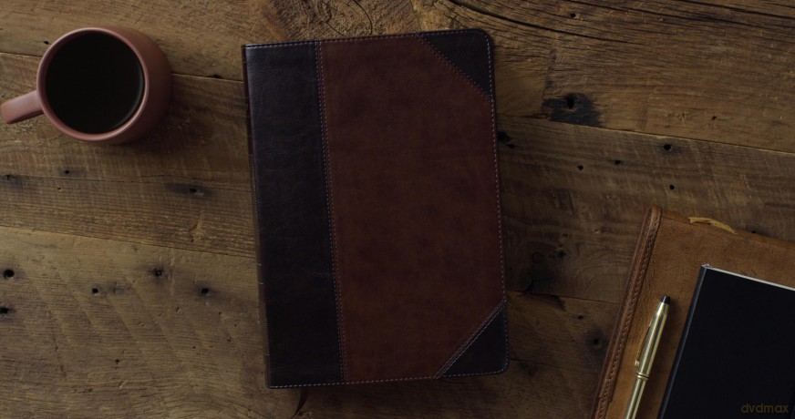 ESV Archaeology Study Bible (TruTone, Brown/Walnut, Portfolio Design): English Standard Version, Trutone, Brown/walnut, Portfolio Design, Archaeology Study Bible With Ribbon Marker - ESV [KSIĄŻKA]