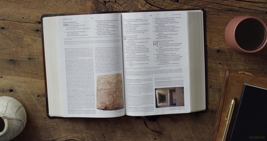 ESV Archaeology Study Bible (TruTone, Brown/Walnut, Portfolio Design): English Standard Version, Trutone, Brown/walnut, Portfolio Design, Archaeology Study Bible With Ribbon Marker - ESV [KSIĄŻKA]
