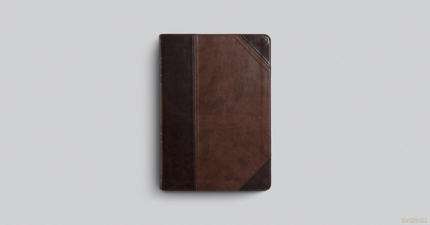 ESV Archaeology Study Bible (TruTone, Brown/Walnut, Portfolio Design): English Standard Version, Trutone, Brown/walnut, Portfolio Design, Archaeology Study Bible With Ribbon Marker - ESV [KSIĄŻKA]