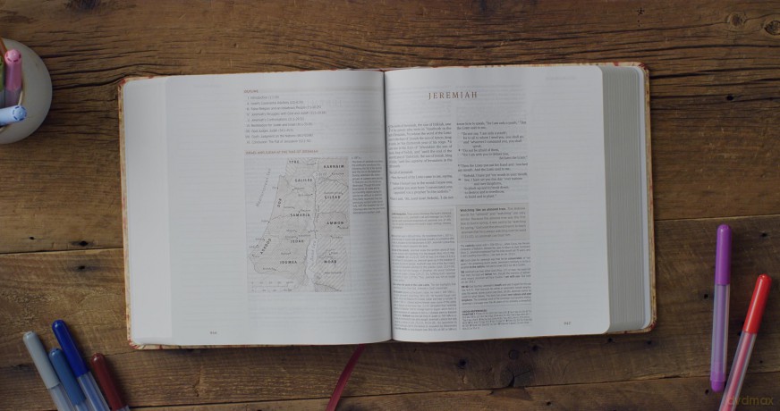 ESV Journaling Study Bible, Artist Series (Cloth over Board, Jessica Dennis Bush, Vivienne): English Standard Version Journaling Study Bible With Ribbon Marker - ESV [KSIĄŻKA]