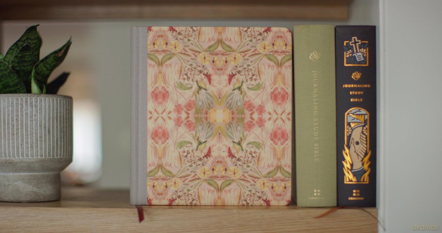 ESV Journaling Study Bible, Artist Series (Cloth over Board, Jessica Dennis Bush, Vivienne): English Standard Version Journaling Study Bible With Ribbon Marker - ESV [KSIĄŻKA]