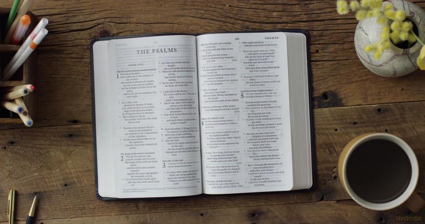 ESV Large Print Value Thinline Bible (TruTone, Navy, Mosaic Cross Design) - ESV [KSIĄŻKA]